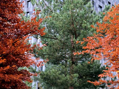 2012-11-19-155a