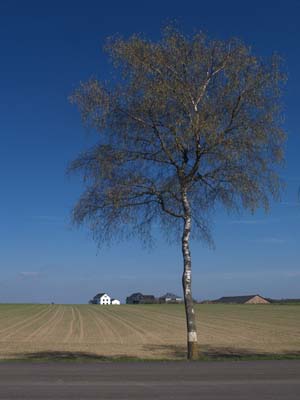 2013-04-24-037a