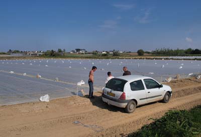 2011-04-20-101a