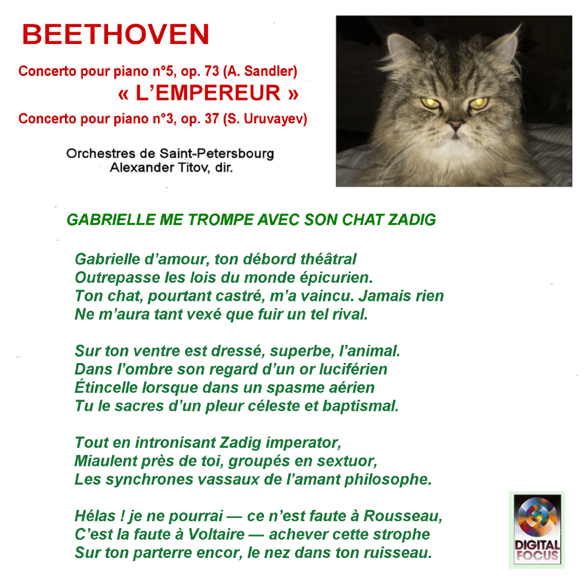 Accueil