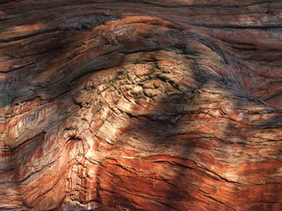 0-2009-01-01-055a