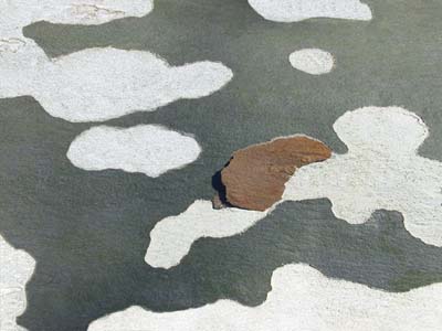 0_platanes_002