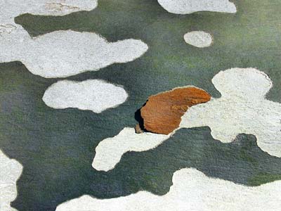 0_platanes_002a1