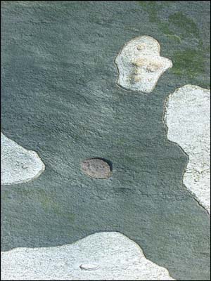 0_platanes_003