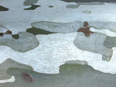 0_platanes_006