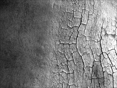 0_platanes_008