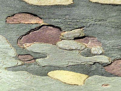 2007-10-01-116b
