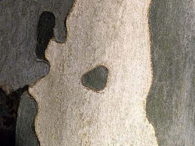 2007-10-01-117a