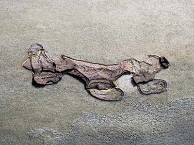 2007-10-01-123b