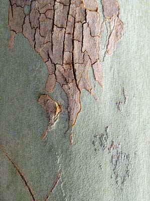 2007-10-01-125b