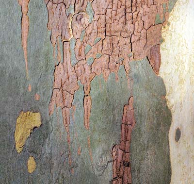 2007-10-01-126b
