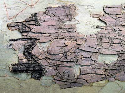 2007-10-01-130b