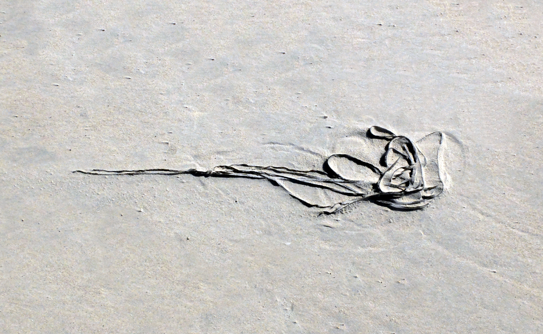 Accueil