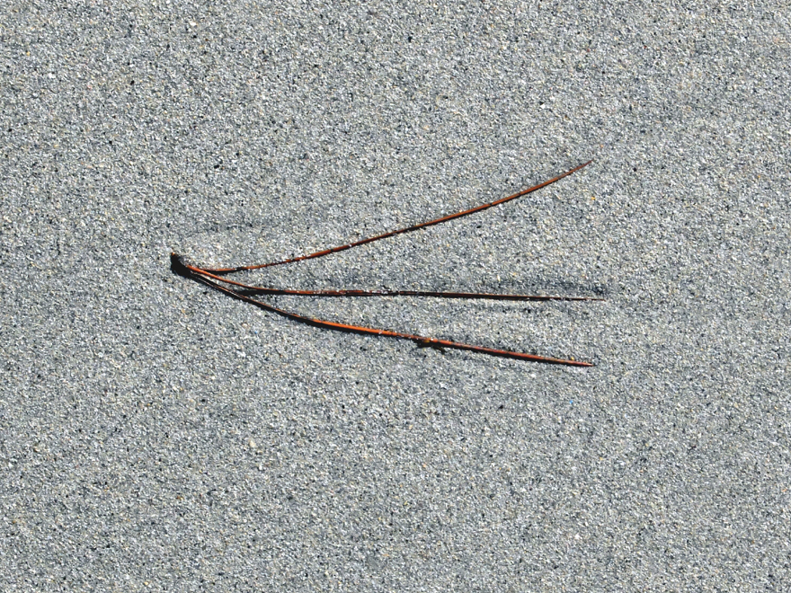 Accueil
