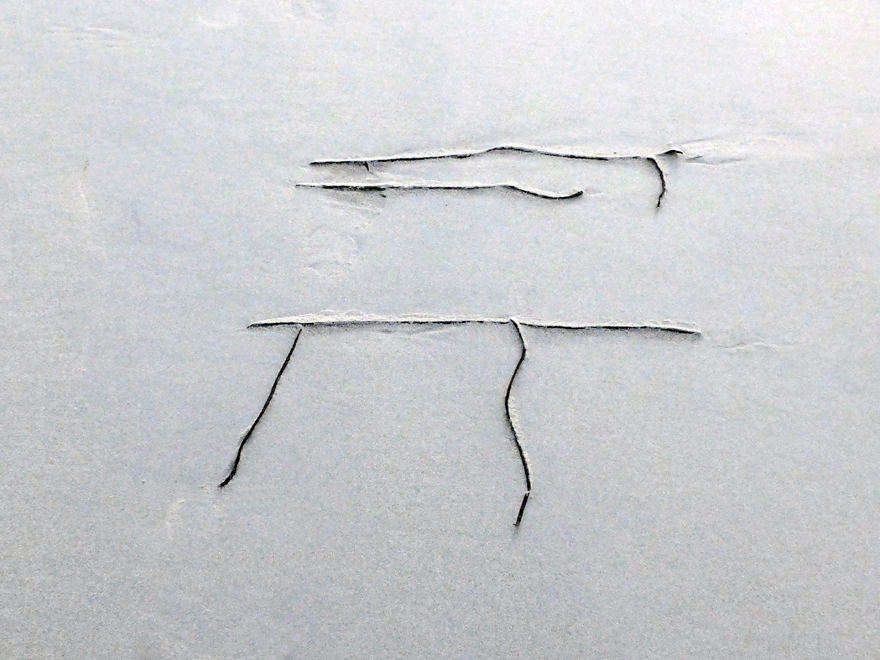 Accueil