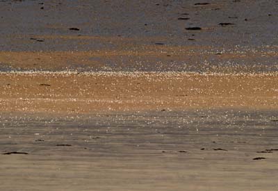 2010-04-17-021a