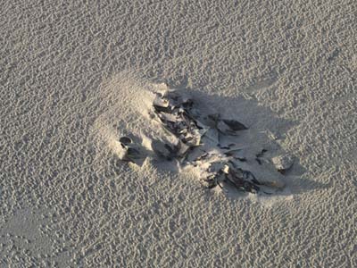 2012-01-02-152a