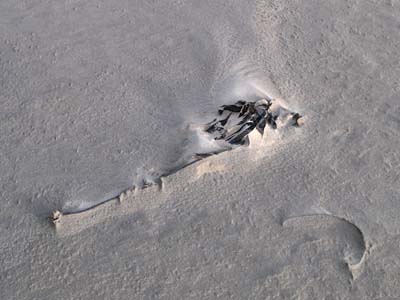 2012-01-02-229a