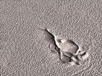 2012-01-02-238b1