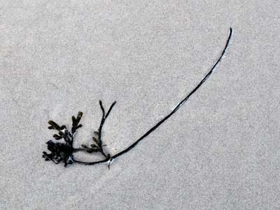 2013-12-26-163a