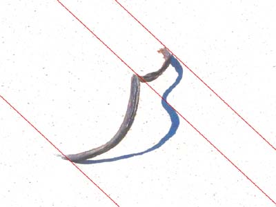 2020-05-15-047a