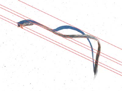 2020-05-15-049c
