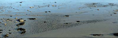 2021-01-08-133a
