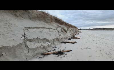 2022-01-06-077-pano
