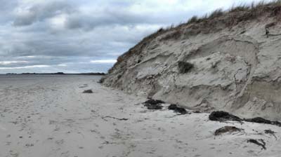 2022-01-06-092-pano