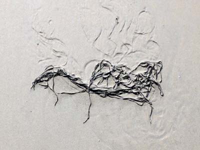 2023-08-06-051