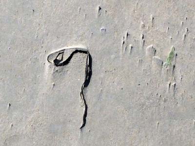 2023-08-06-055
