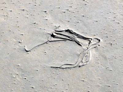 2023-08-06-057