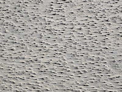 2023-08-06-062