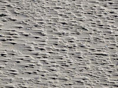 2023-08-06-072