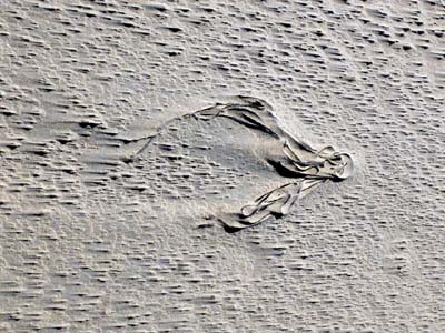 2023-08-06-076