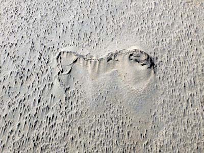 2023-08-06-077