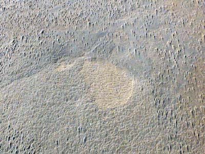 2023-08-06-078