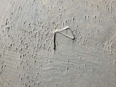 2023-08-06-081