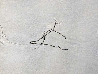 2023-08-06-104a