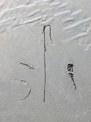 2023-08-06-141