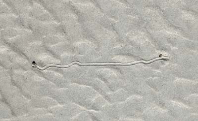 2024-08-25-036a